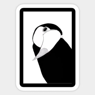 Bashful Birds Sticker